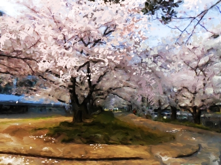 ��i16�D������S